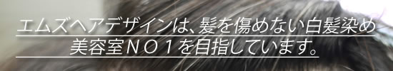 エムズは髪を傷めないNO1
